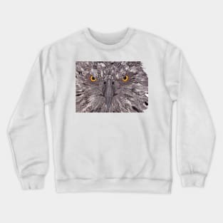 Eagle Eyes Crewneck Sweatshirt